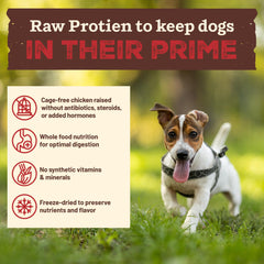 Primal Pet Foods real whole-food base with kale and vegetables for natural nutrition.
