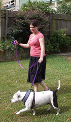 Primal Pet Gear heavy duty nylon leash designed for rugged outdoor use.