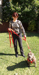 Primal Pet Gear reflective stitching visible for safer evening walks
