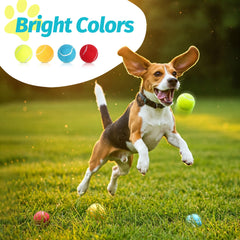 Prime Pets Bright colors improve visibility during training and games.