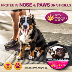 Primens dog paw balm application on paw to protect feet during hot pavement