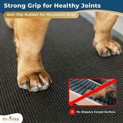 PRIORPET sturdy birchwood dog ramp provides stable daily support.