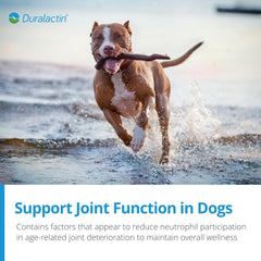 PRN Pharmacal Duralactin dog chews serving dish shows daily use.