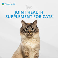PRN Pharmacal Duralactin Feline product image emphasizing joint health and mobility support.