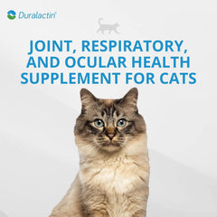 PRN Duralactin paste with MicroLactin 200 mg per serving supports mobility.