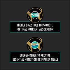 Purina Pro Plan Veterinary Diets EN Gastroenteric Feline Formula wet cat food texture shows moisture.