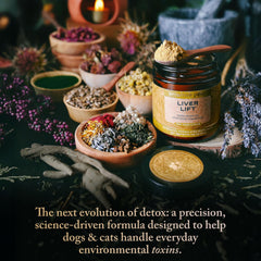 Proactive Paws Liver Lift powder dissolving into water or food during mixing