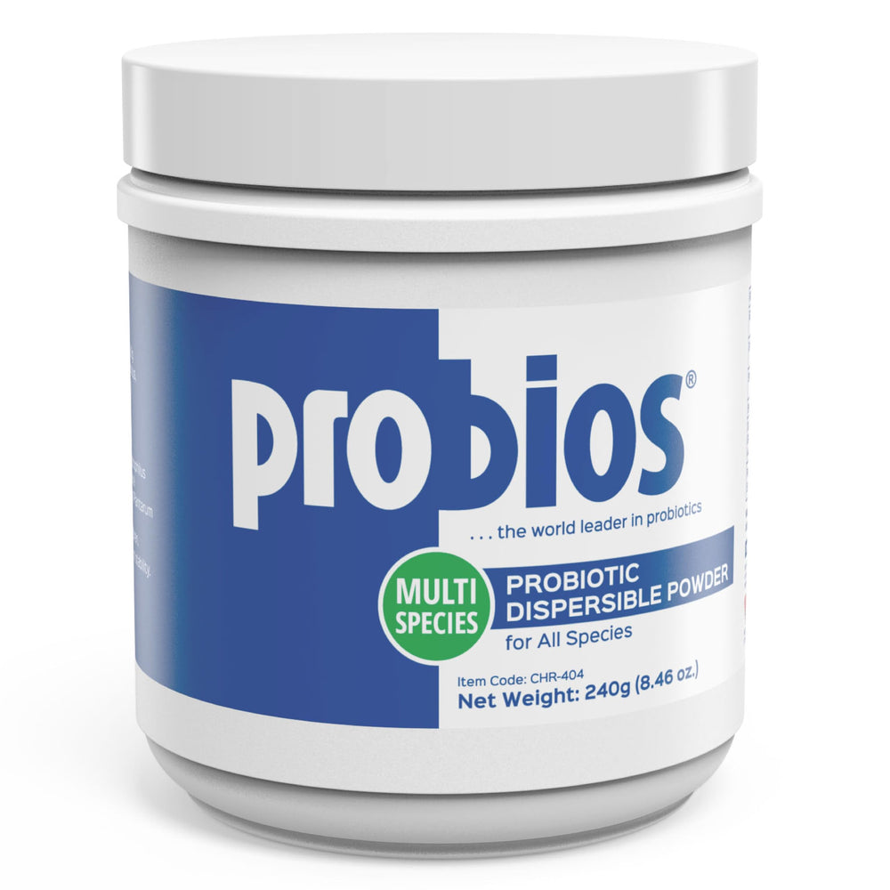 Probios dispersible probiotic powder tin supports digestion and immunity.