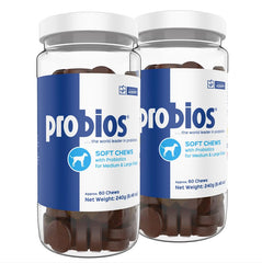 Probios for Dogs Soft Chews bottle closeup promoting daily gut health.