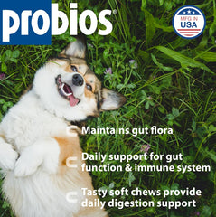 Probios for Dogs Soft Chews packaging highlights NASC quality for pet probiotics.