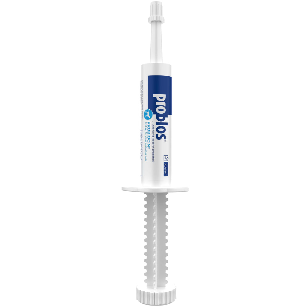 Probios Probiocin gel syringe with dosing marks for precise pet administration.