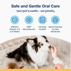 ProDen PlaqueOff Scoopables large-breed dental care bites for daily use
