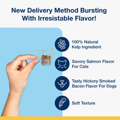 ProDen PlaqueOff Scoopables natural kelp ingredient visual highlight for health