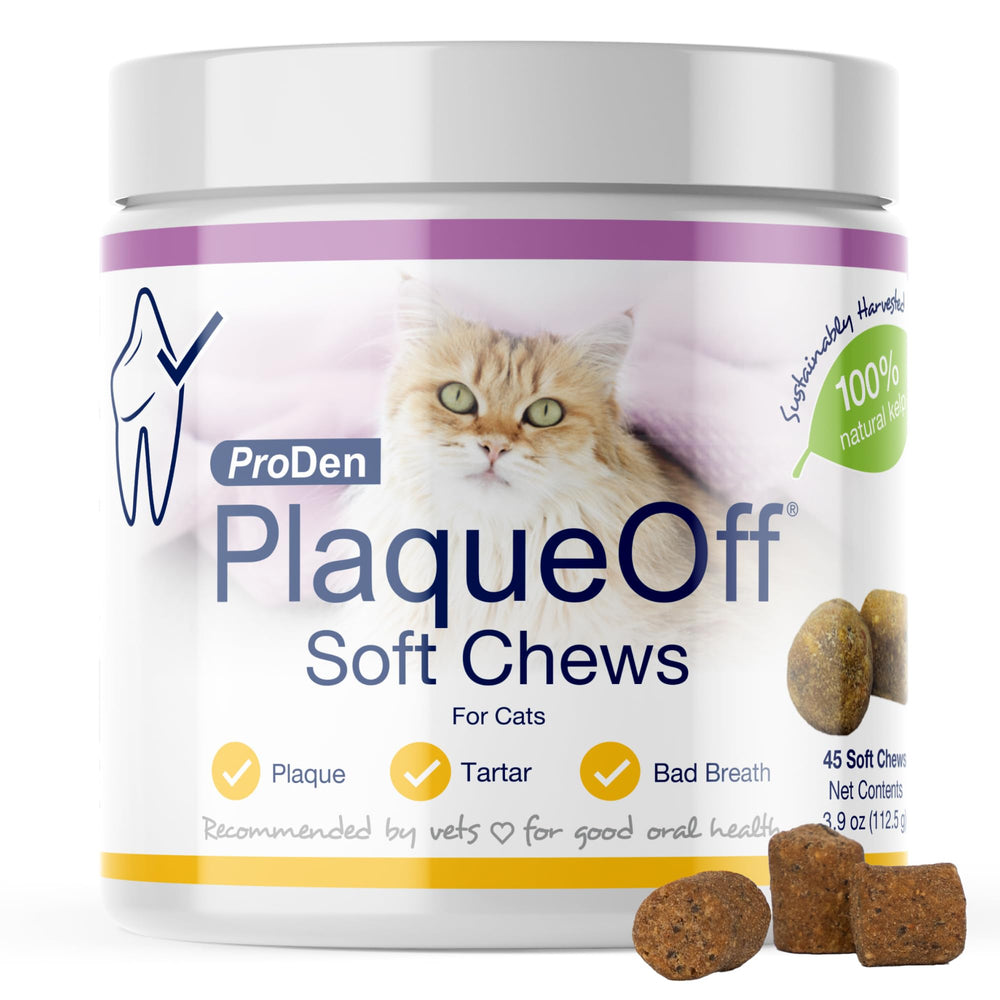 ProDen PlaqueOff soft chews bottle with kelp for cat dental care