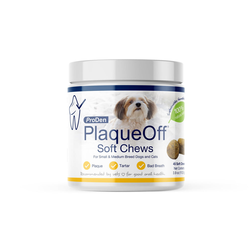 ProDen PlaqueOff Soft Chews packaging with organic kelp for convenient dental care.