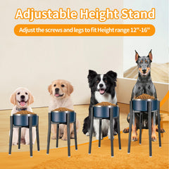 PROERR height adjustable stand offers comfortable meals for dogs