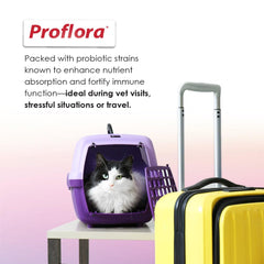 Proflora chicken liver flavor powder adds tasty appeal to cat meals