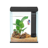 Pronetcus Betta Tank 2gal glass front view for easy observation.
