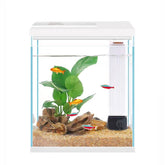 Pronetcus Betta Tank front view with crystal-clear glass for clear viewing.
