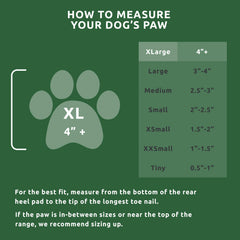 Protex PawZ pull-on green dog boots simplify outdoor adventures.