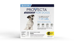 Provecta Advanced bottle ready for monthly topical treatment protecting against fleas and mosquitoes.