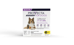 Provecta Advanced applied on a dog's back for flea and tick prevention.