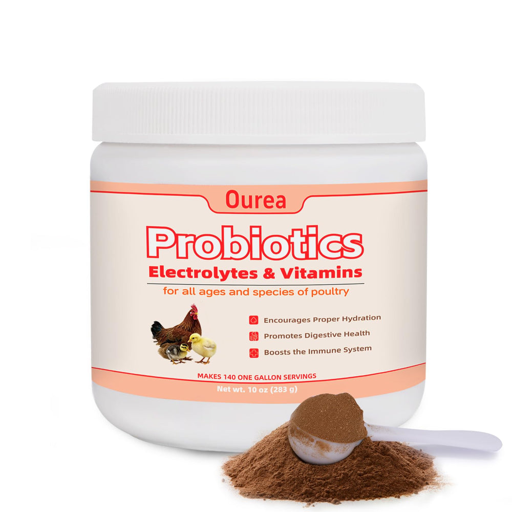 Provspro chicken electrolyte powder bottle promotes hydration during heat.