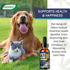 PROZIMA Hemp Oil for Dogs and Cats 3-Pack resting pet shows calm mood.