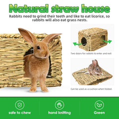 PStarDMoon Bunny Grass House size reference demonstrates compact, roomy space.