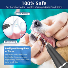 Psytpusa LED light feature for clear visibility during pet dental cleaning