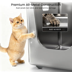 PTFFF large interior for big cats and multi-pet households.