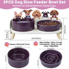 PTOBER ceramic slow-feeder bowl promotes paced eating and digestion.