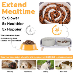 PTOBER ceramic water bowl keeps hydration tidy and mess-free