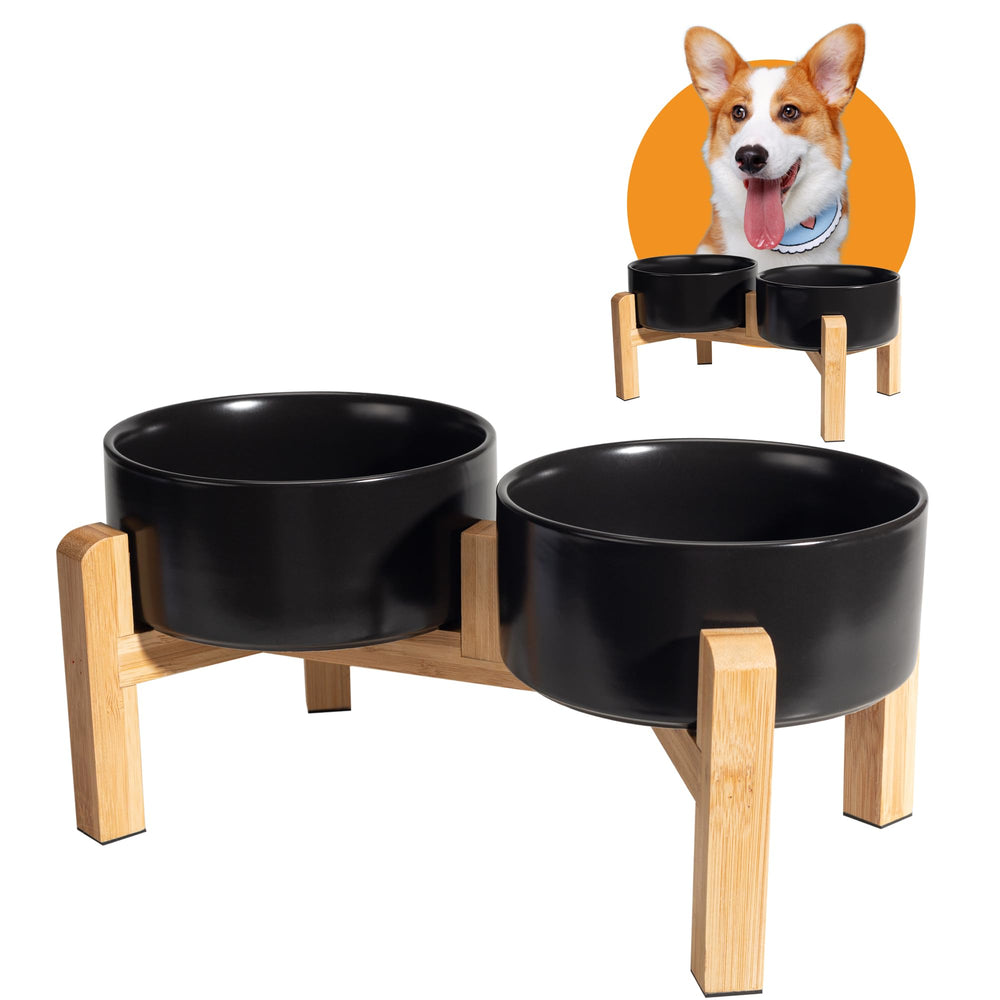 PTOBER elevated ceramic dog bowls for comfortable feeding and reduced neck strain.