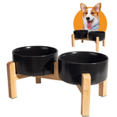 PTOBER elevated ceramic dog bowls for comfortable feeding and reduced neck strain.