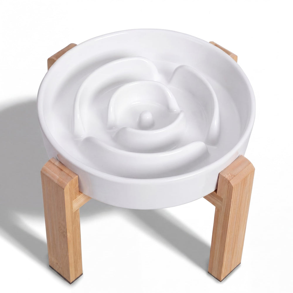 PTOBER elevated slow feeder bowl ceramic dish promotes gradual dining for better enjoyment
