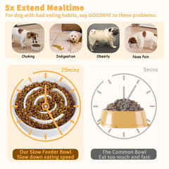 PTOBER smooth glazed ceramic surface is easy to rinse after meals