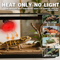 PTSCBS ceramic heat emitter detail highlighting durable construction.