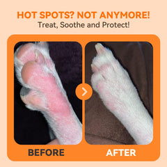 PUAINTA dog-itch-relief application mist for easy use.