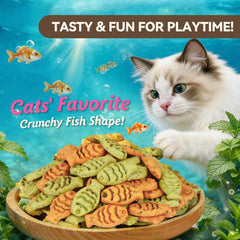 Puddonio Catnip Cat Treats training reward in use during playtime.