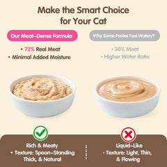 Puddonio high meat puree texture close-up shows rich protein appeal