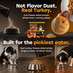 Pup Choice freeze-dried-turkey-treats close-up showing crunchy texture.