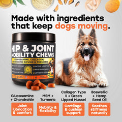 Dog in motion with Pup Choice chews suggesting mobility support