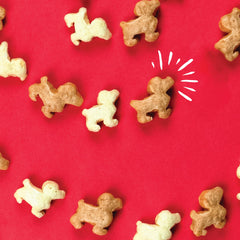 Illustration of prebiotics and probiotics in Pup Corn Plus for tummy comfort.