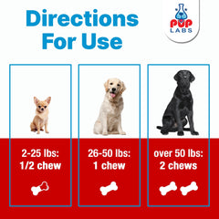 Pup Labs Freedom Joint Chews dog-running image suggests improved mobility.