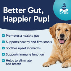 Pup Labs Tummy Essentials serving dish ready for daily canine probiotic chews