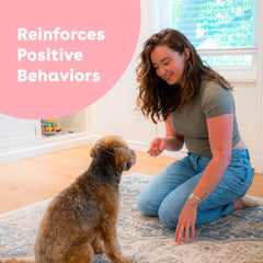Pupford pocket-size training treats for walking sessions