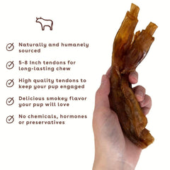 Pupford Turbo Beef Tendon Chews dog chewing action demonstrates engagement