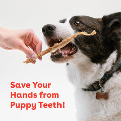 Pupford Turkey Tendon Dog Treats close-up texture highlights chewy bite ideal for rewards.