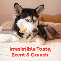 Pupford Turkey Tendon Dog Treats USA-made badge signals trusted production.